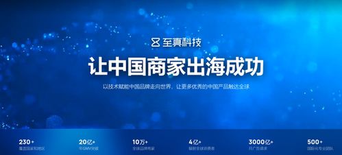 2022品牌战略升级 至真科技打造中国商家出海成功平台